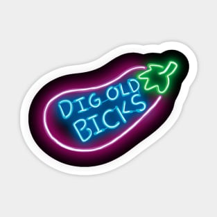 DIG OLD BICKS Sticker